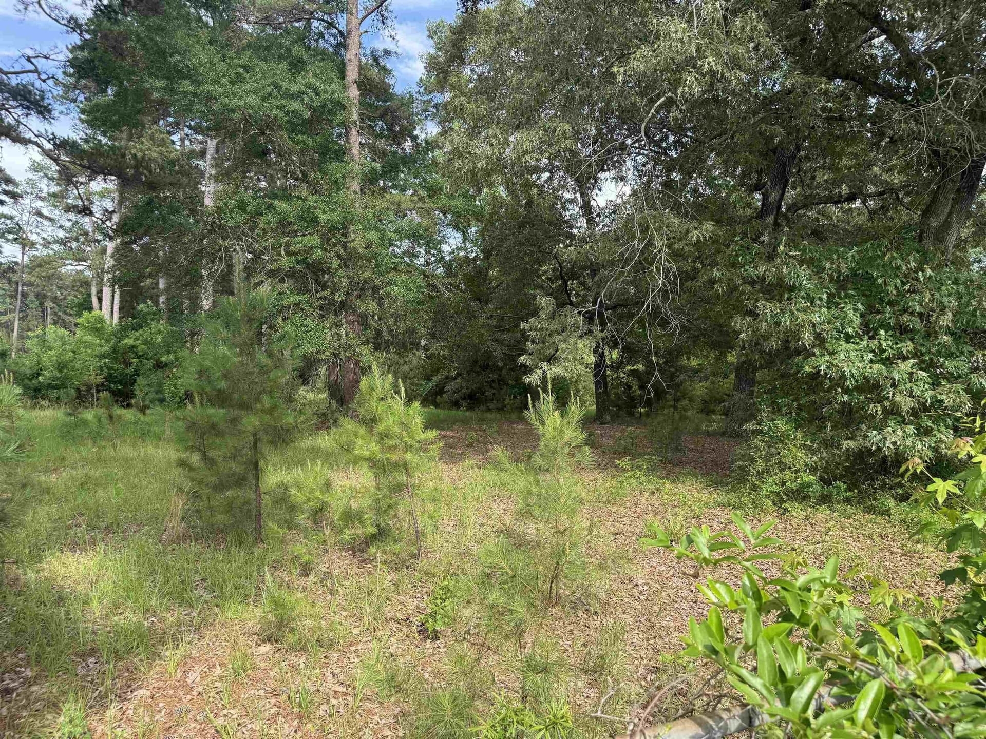 0.93 acres in Texas County featured view
