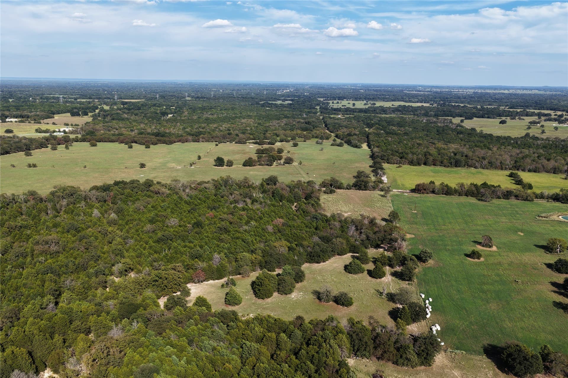 5 acres in Freestone County - photo 6