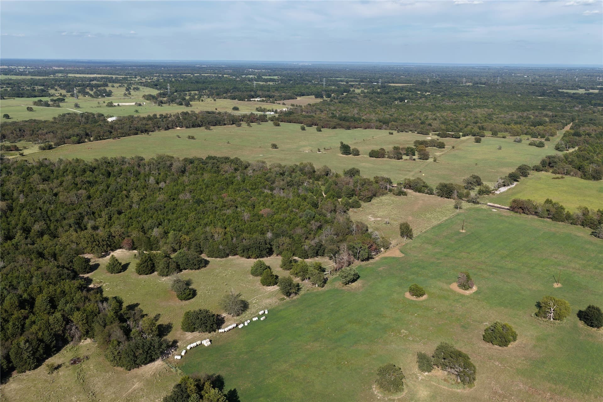 5 acres in Freestone County - photo 9
