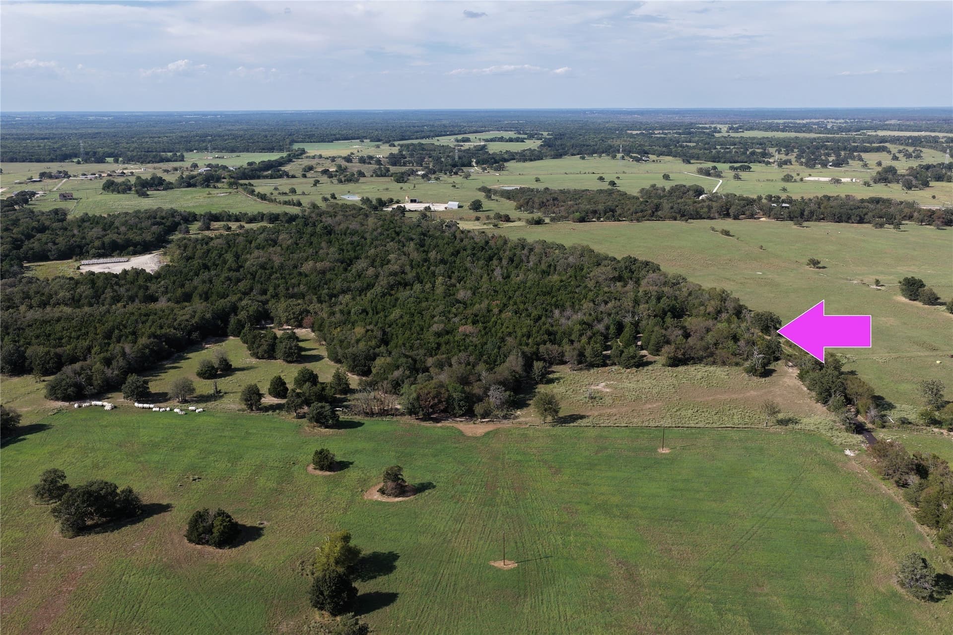 5 acres in Freestone County - photo 3