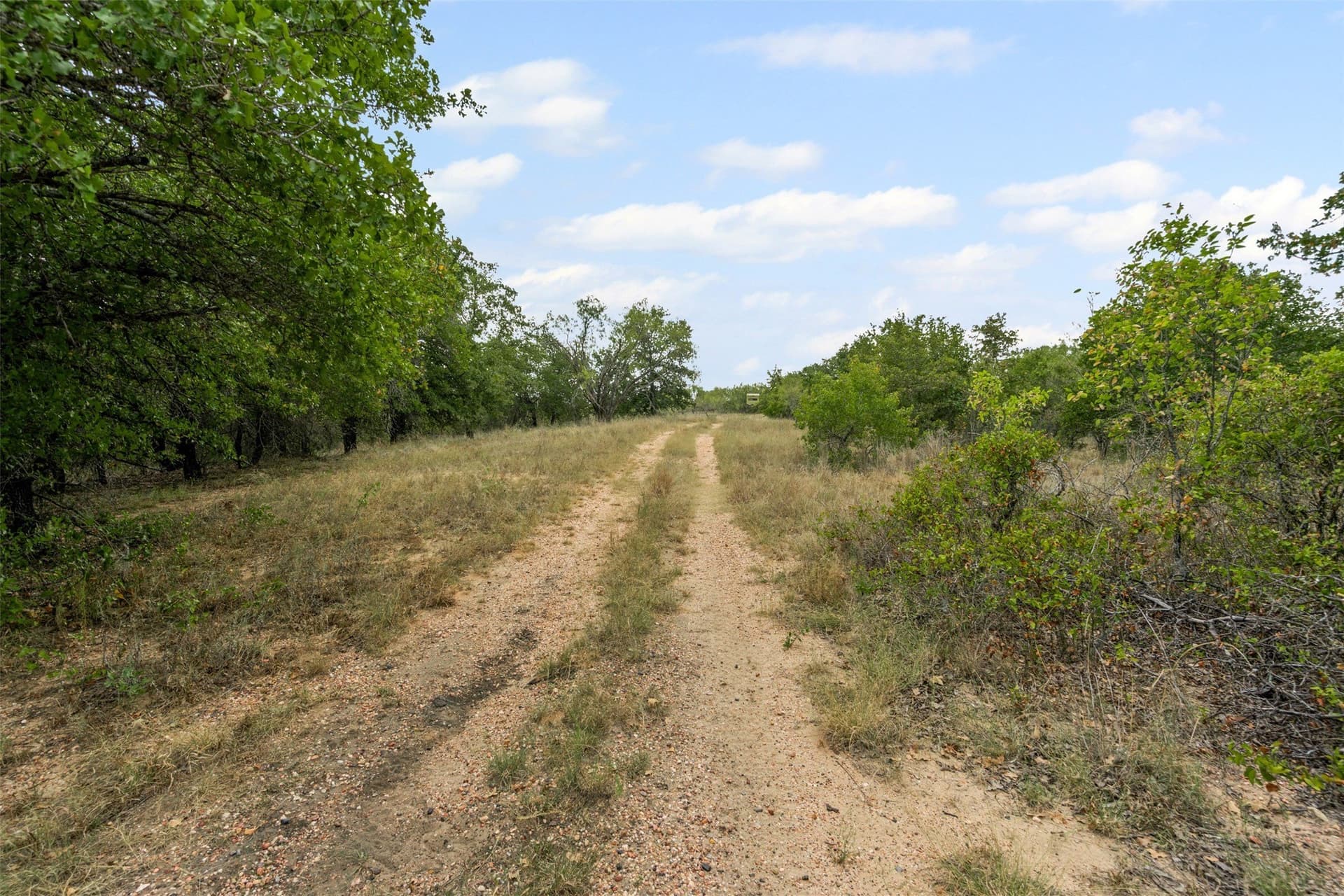 81.27 acres in Comanche County - photo 7