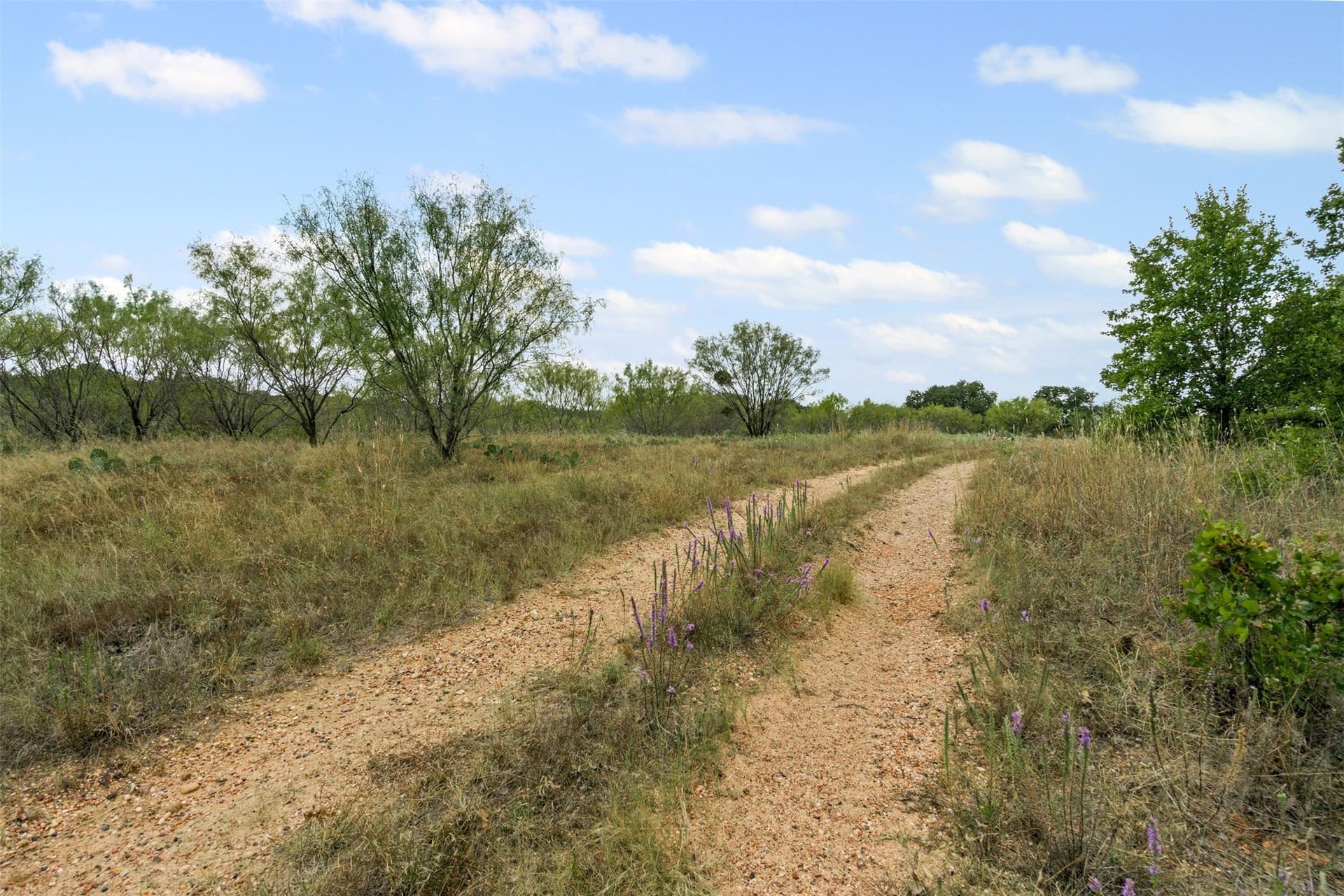 81.27 acres in Comanche County - photo 8