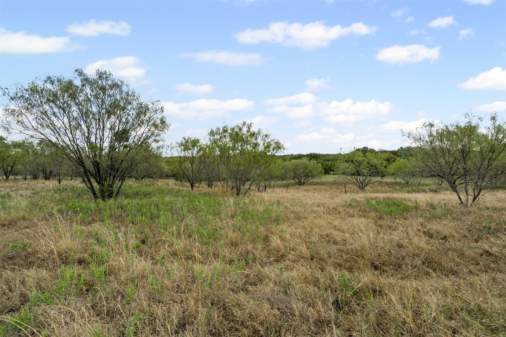 81.27 acres in Comanche County - photo 10