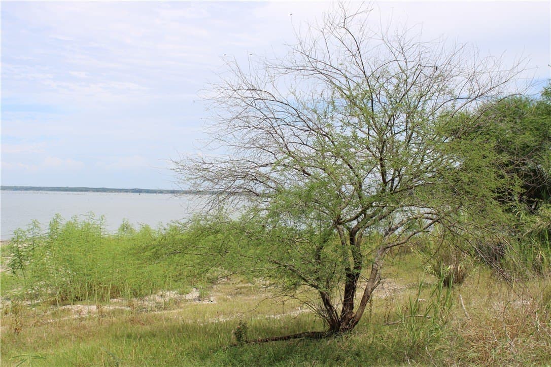 2.34 acres in Live Oak County - photo 11