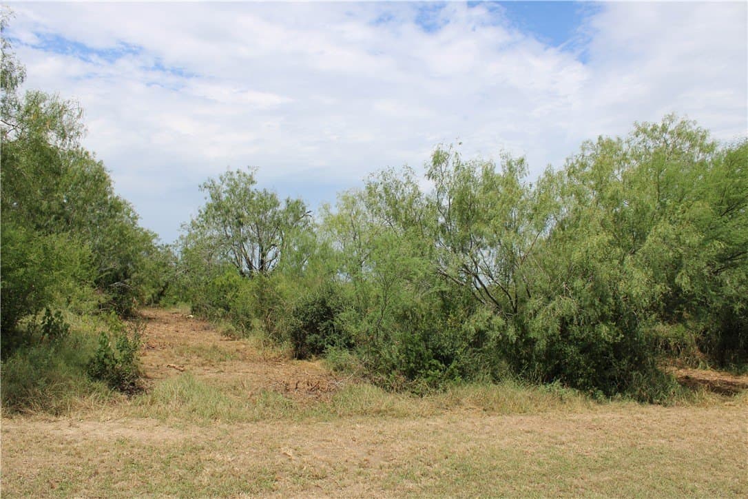 2.34 acres in Live Oak County - photo 6