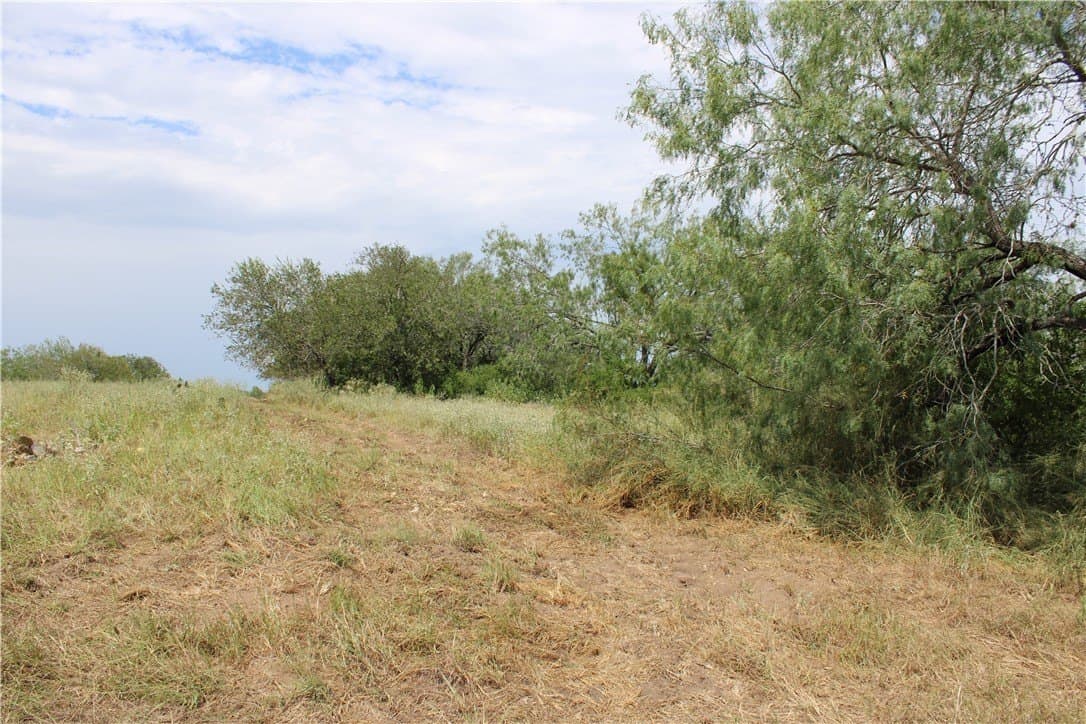 2.34 acres in Live Oak County - photo 4