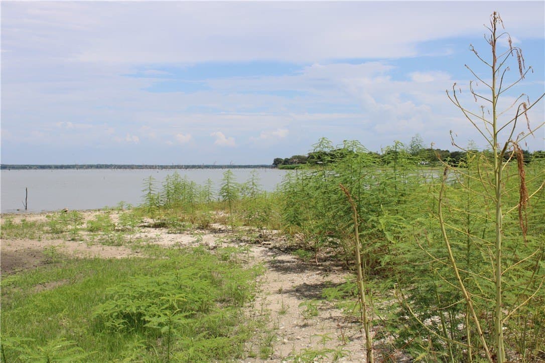 2.34 acres in Live Oak County - photo 13