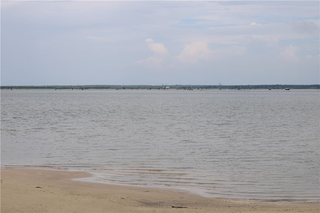2.34 acres in Live Oak County - photo 14