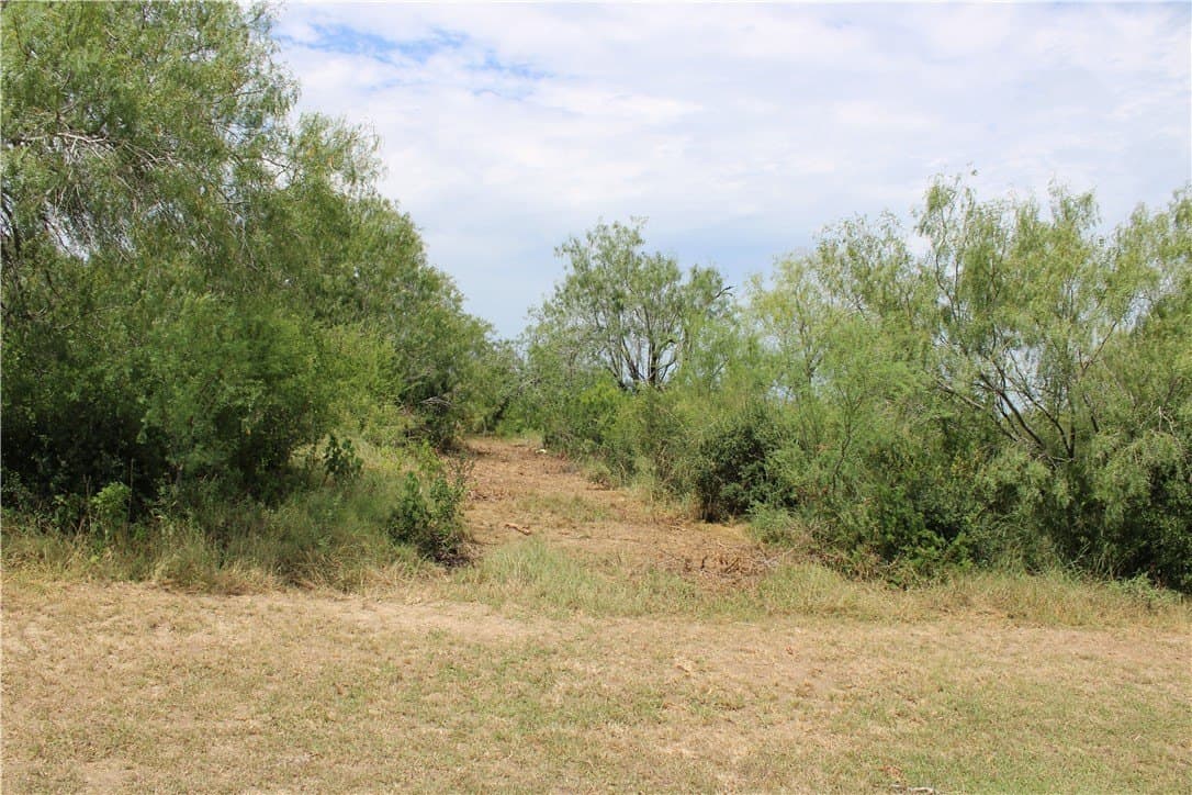 2.34 acres in Live Oak County - photo 5