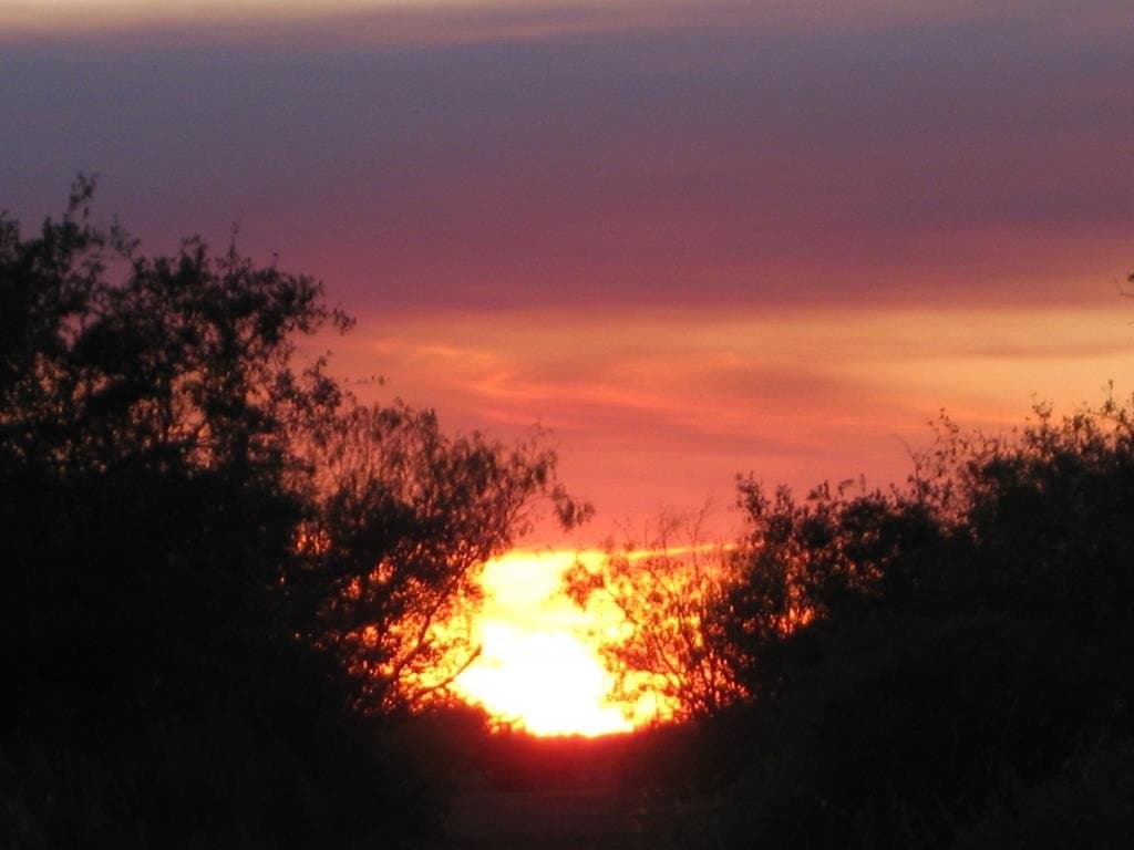 14.19 acres in Texas County - photo 24