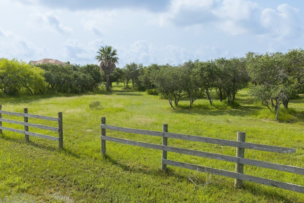 14.19 acres in Texas County - photo 12