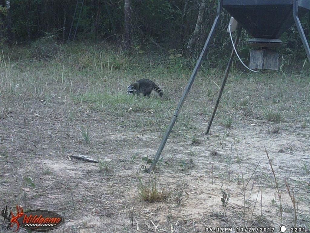 36.42 acres in Franklin (TX) County gallery image 4