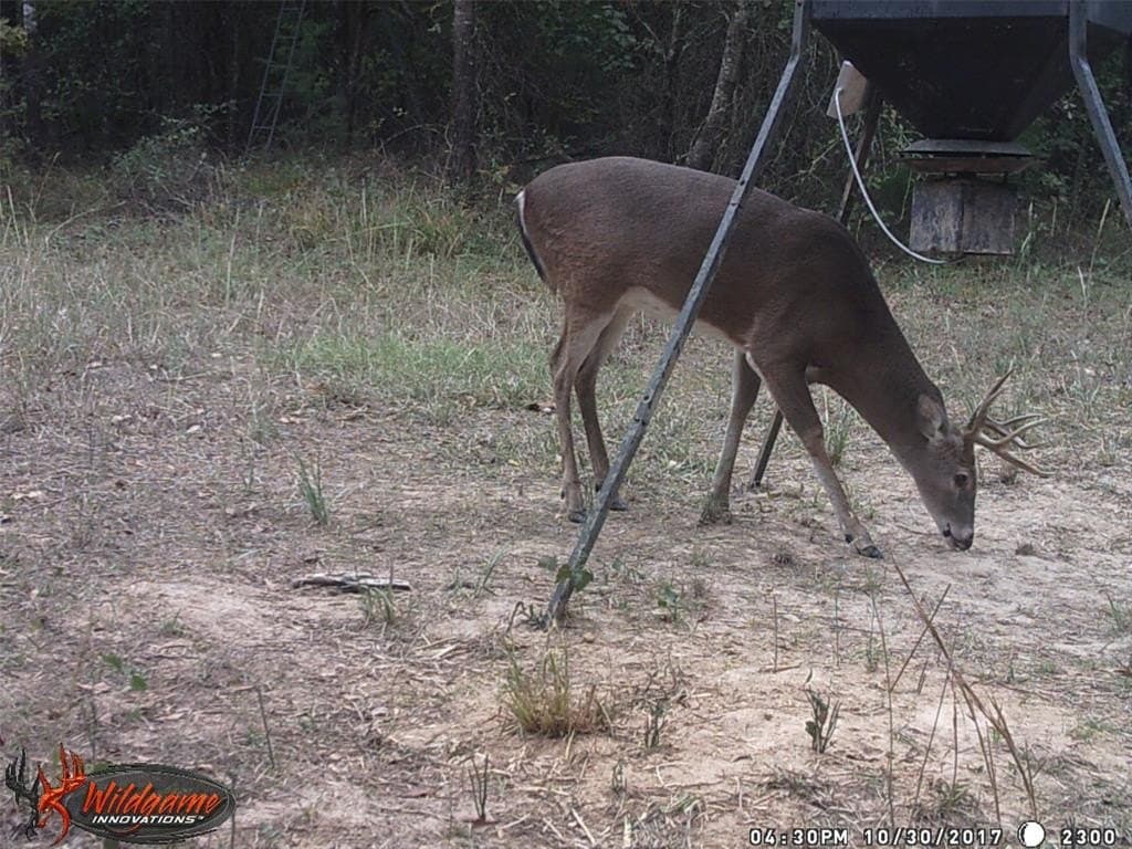 36.42 acres in Franklin (TX) County