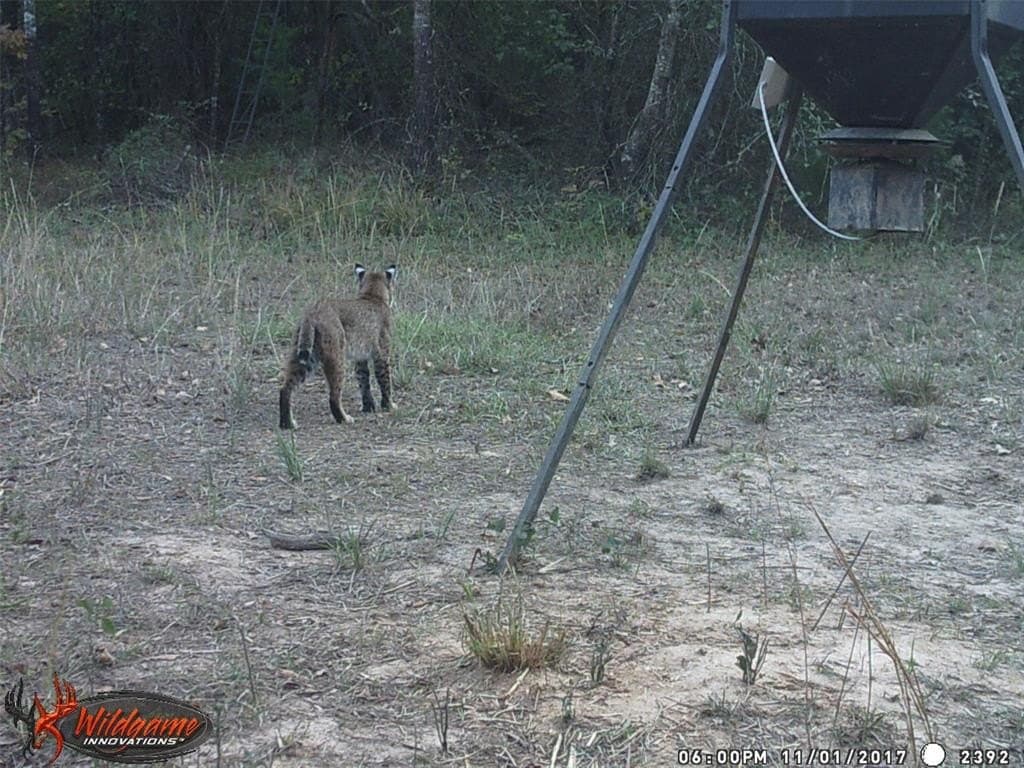 36.42 acres in Franklin (TX) County gallery image 2