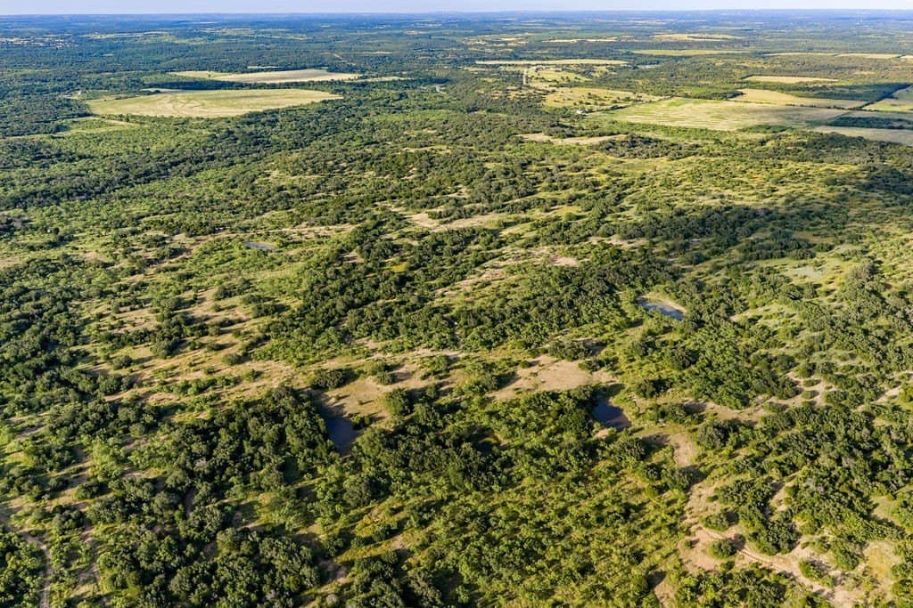 419.55 acres in Coleman County gallery image 4