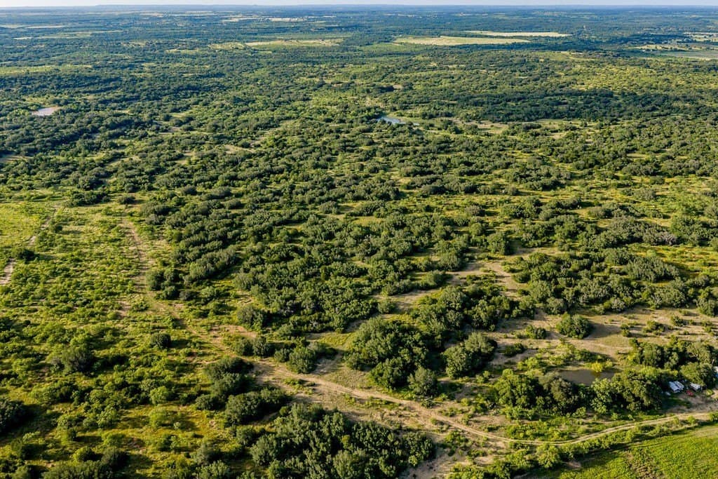 419.55 acres in Coleman County featured view