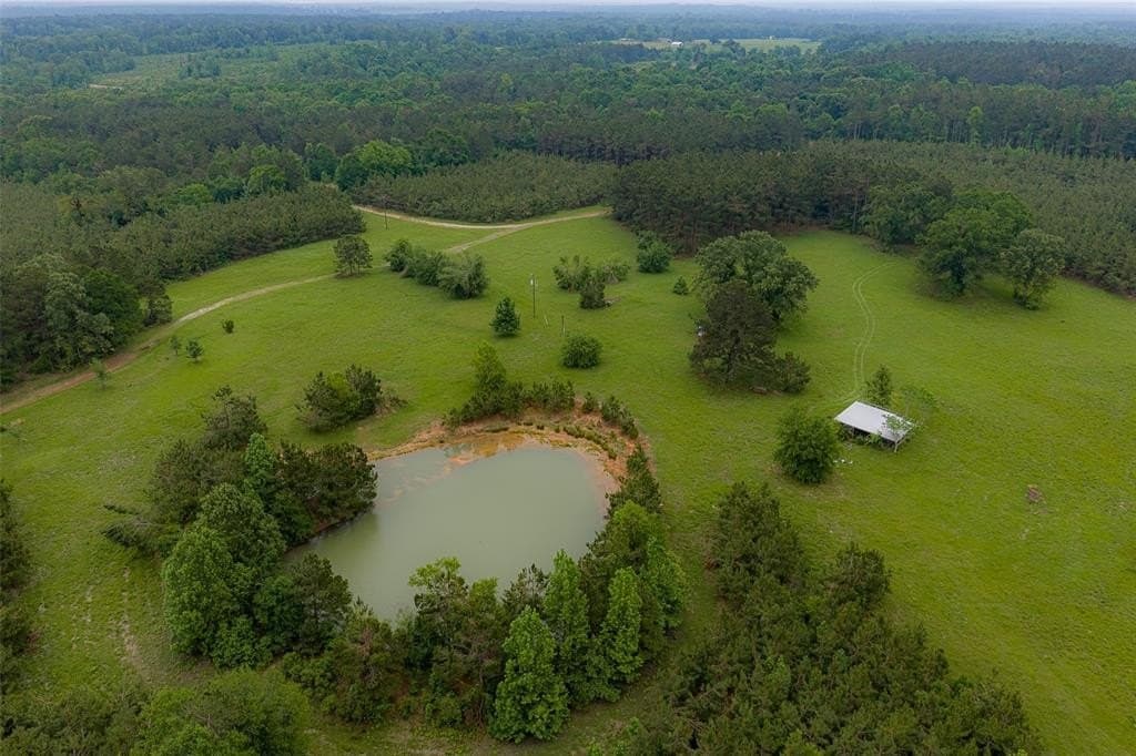 225 acres in Panola County