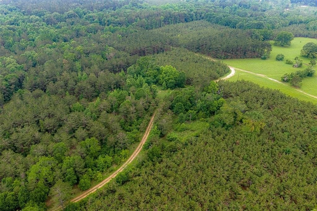 225 acres in Panola County gallery image 4