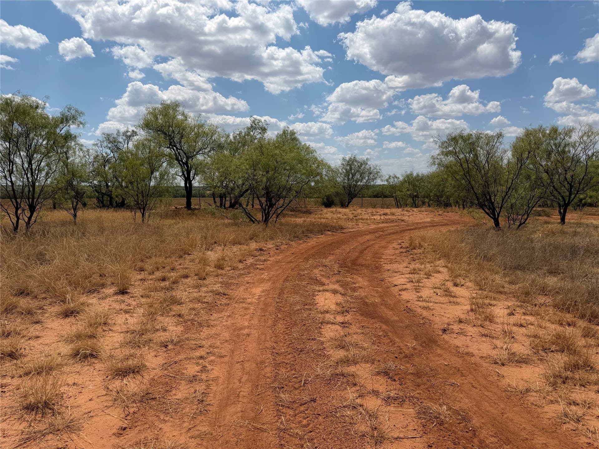 148 acres in Baylor County - photo 17