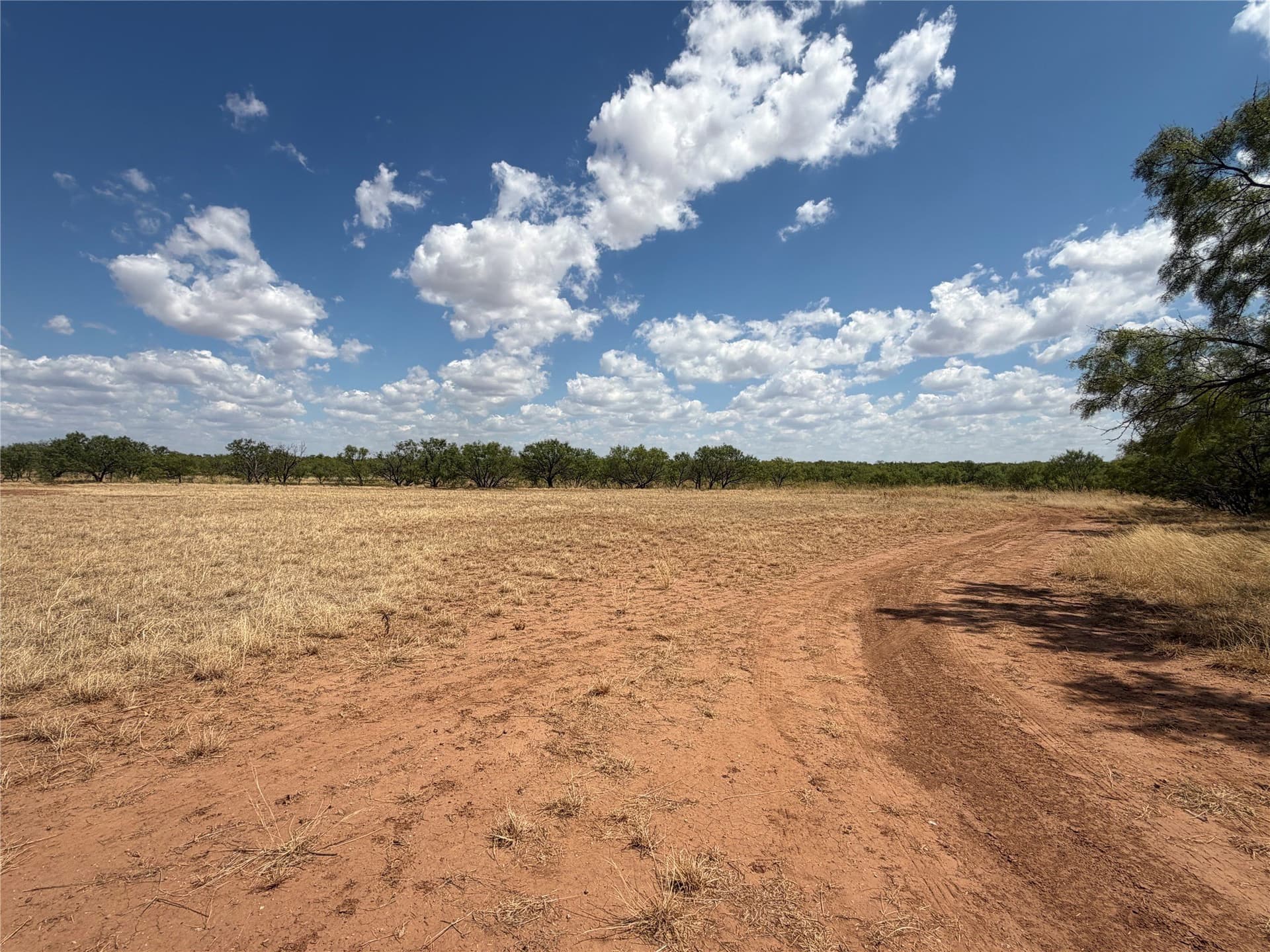 148 acres in Baylor County - photo 14