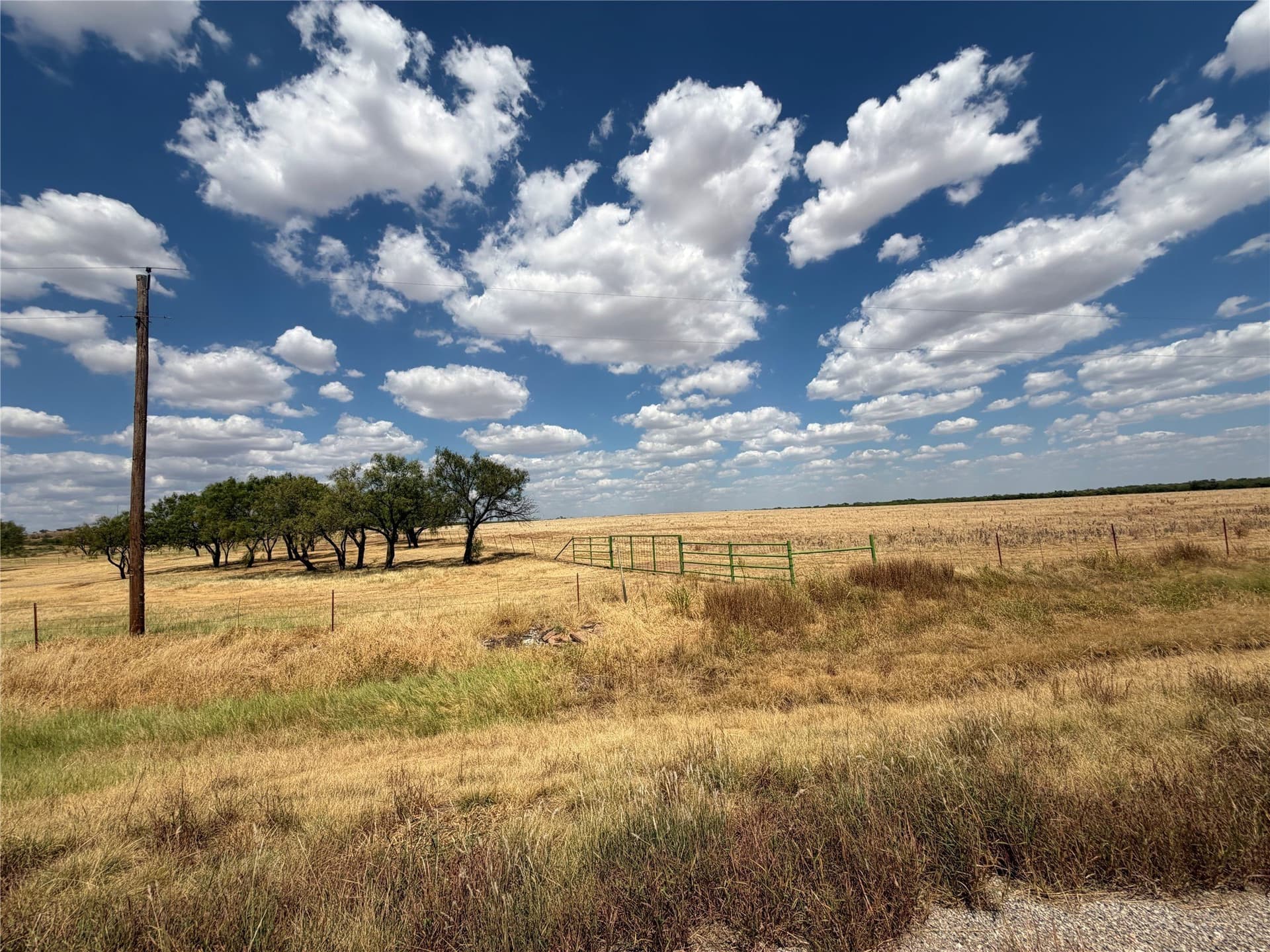 148 acres in Baylor County - photo 23