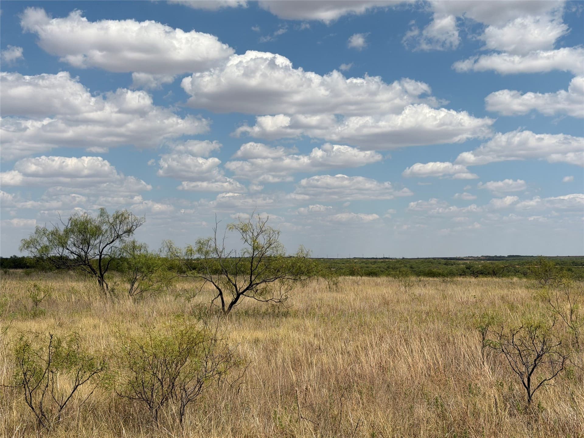 148 acres in Baylor County - photo 25