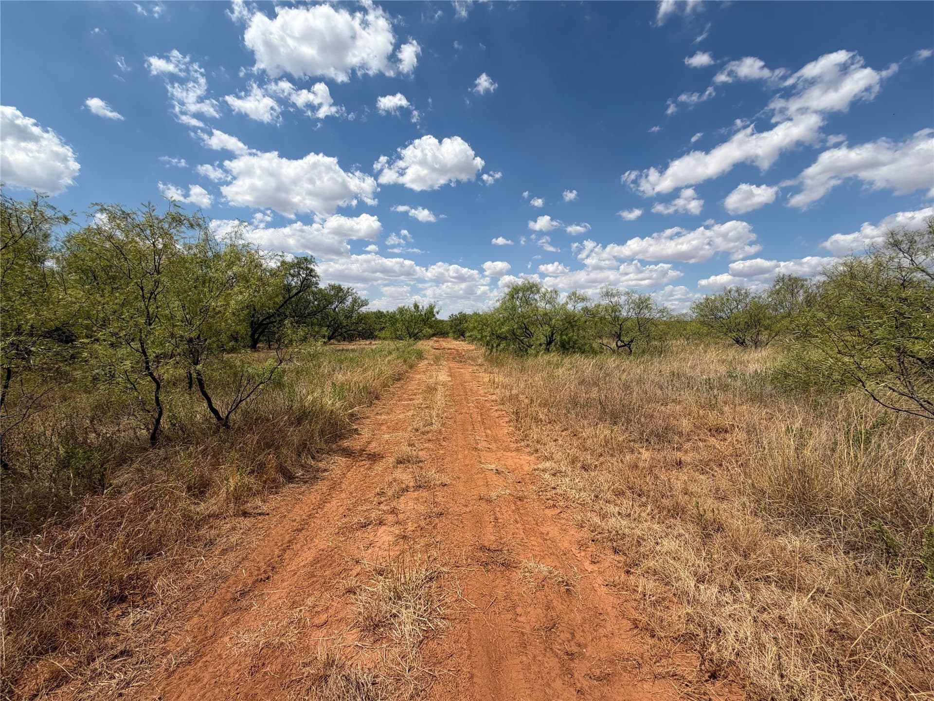 148 acres in Baylor County - photo 16