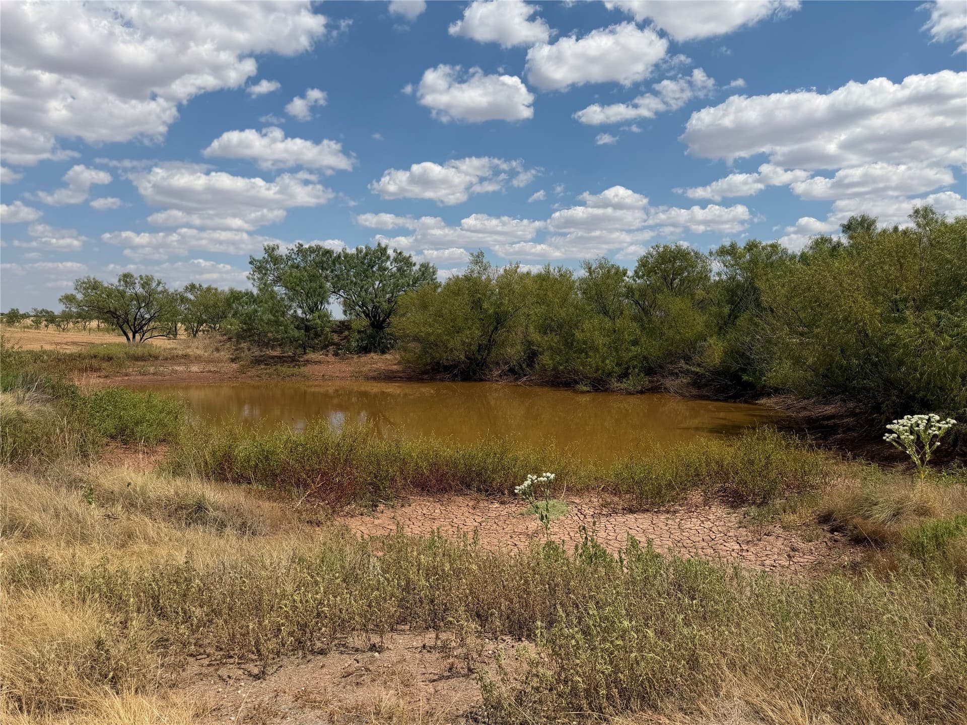 148 acres in Baylor County - photo 9