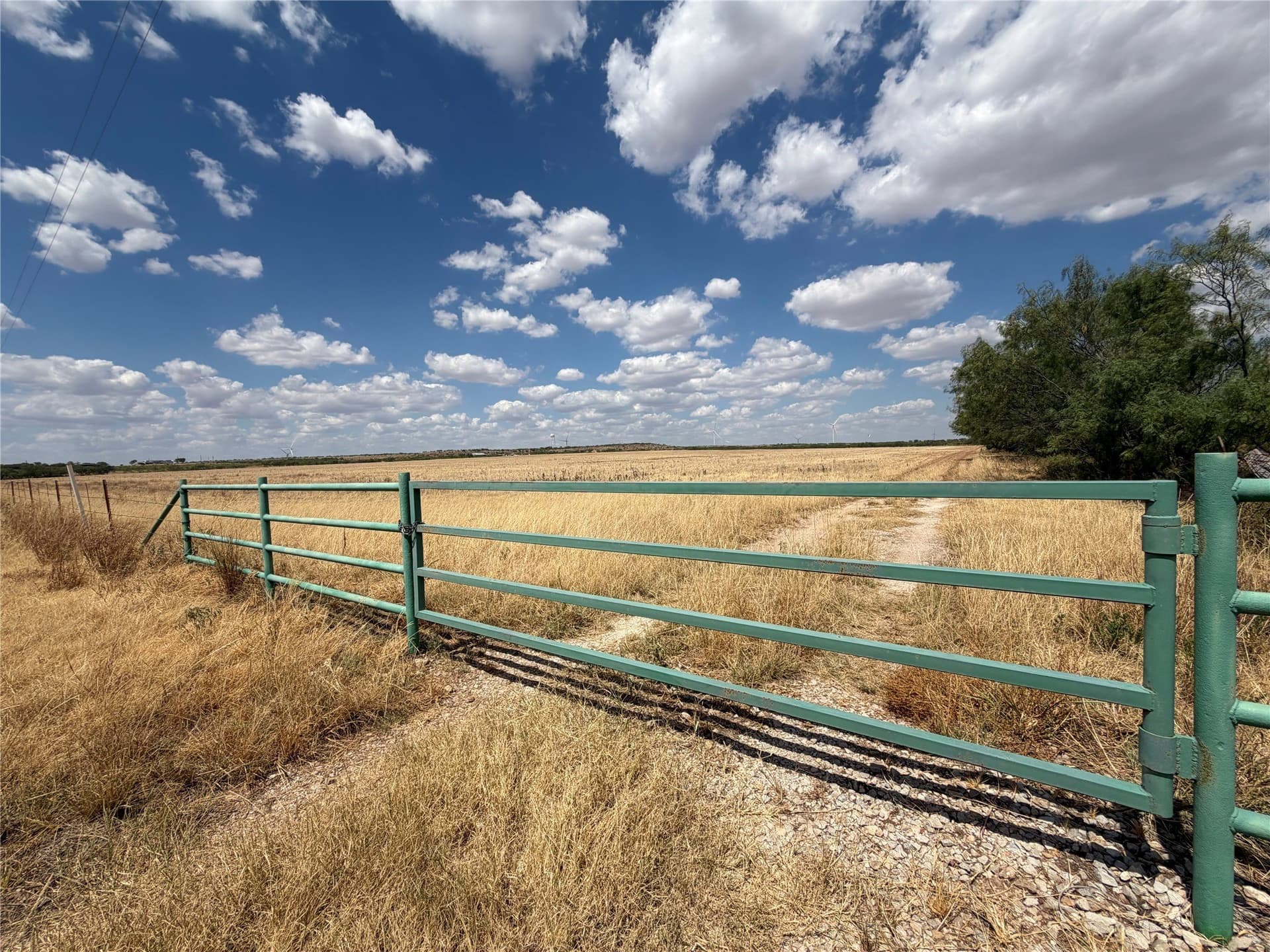 148 acres in Baylor County - photo 7