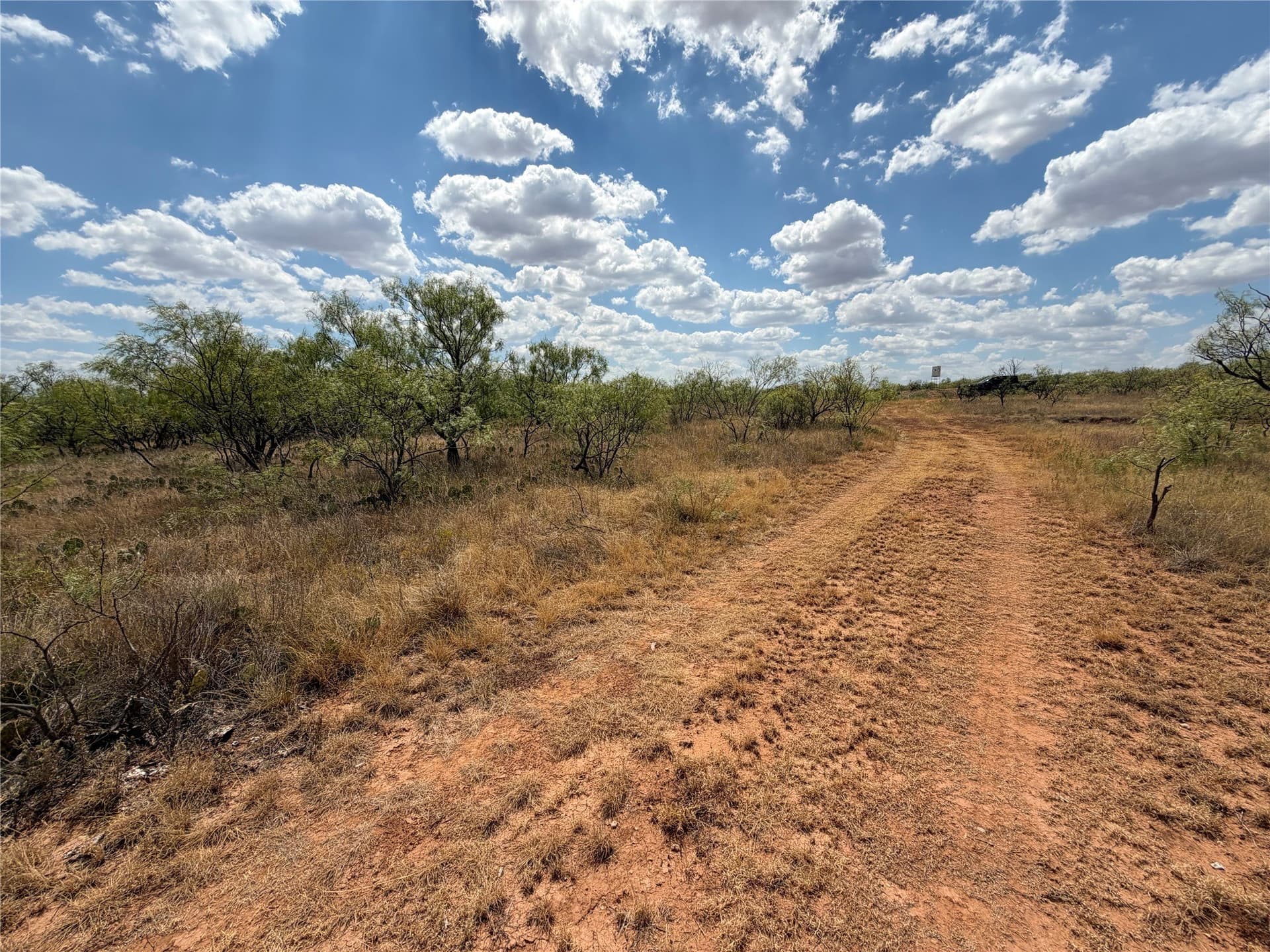 148 acres in Baylor County - photo 8
