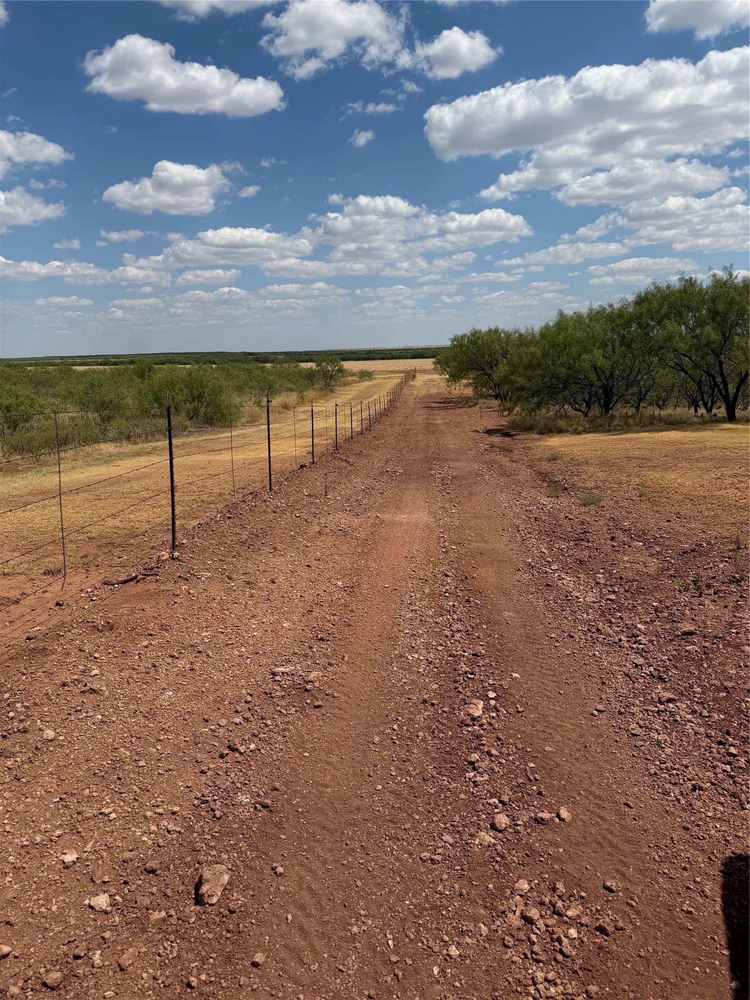 148 acres in Baylor County - photo 21