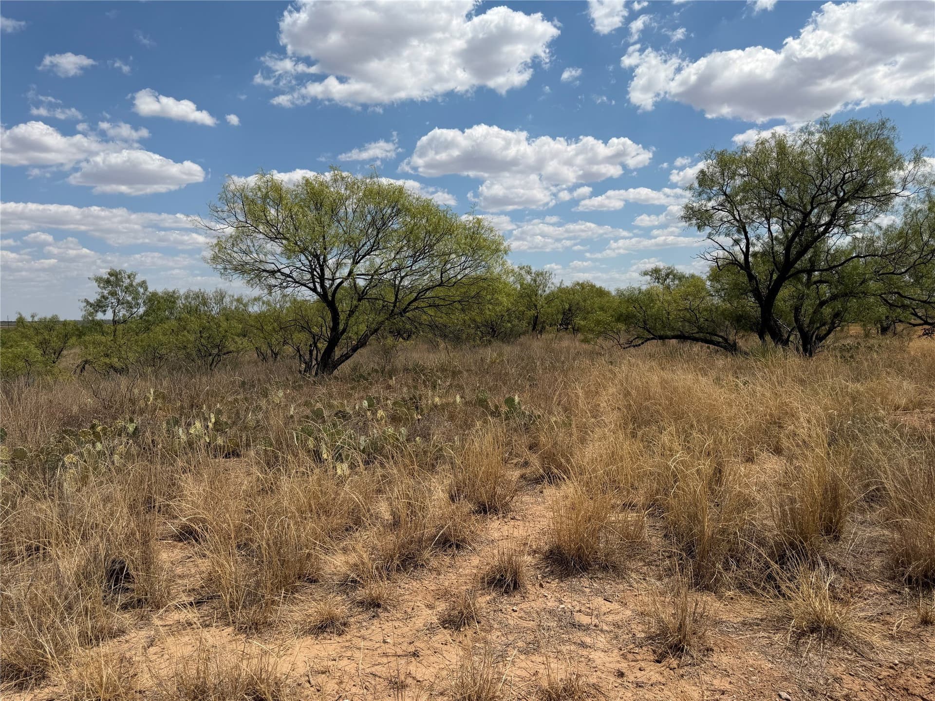148 acres in Baylor County - photo 22