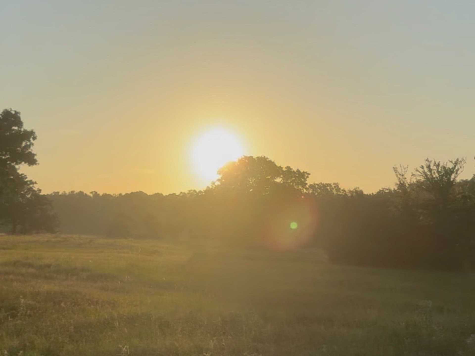 10.1 acres in Freestone County - photo 7
