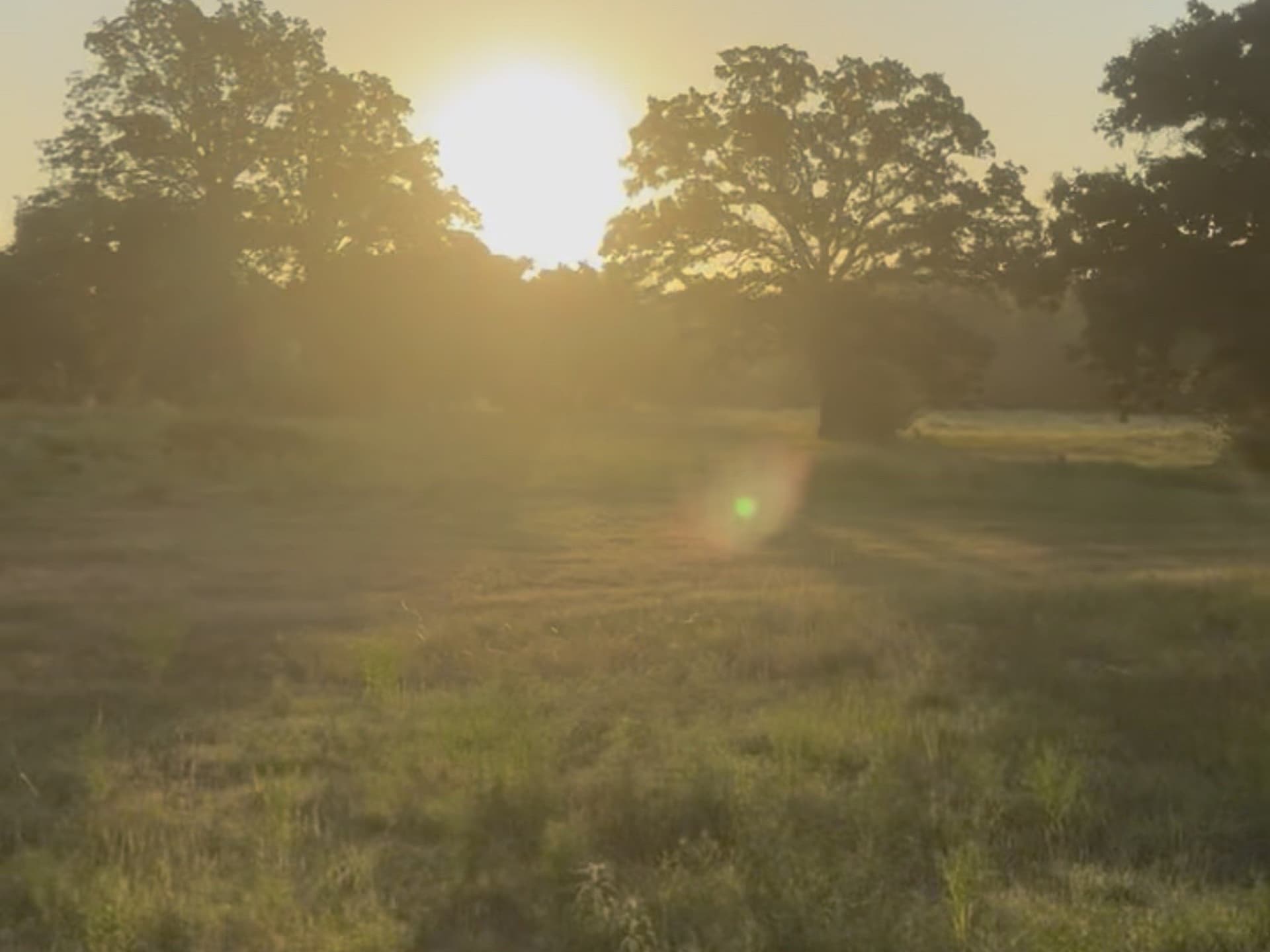 10.1 acres in Freestone County - photo 2