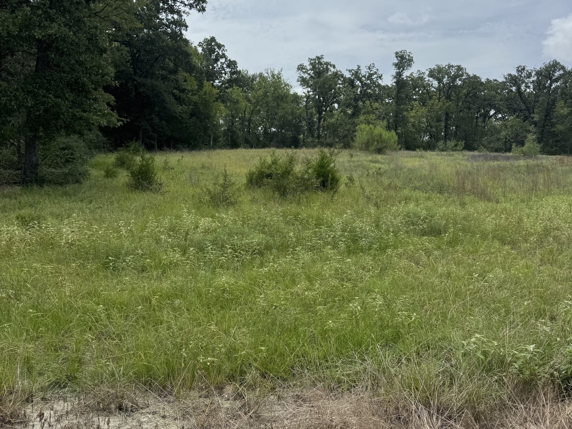 10.1 acres in Freestone County - photo 9