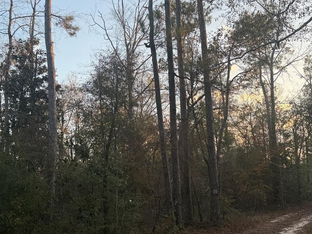 17 acres in Texas County gallery image 3