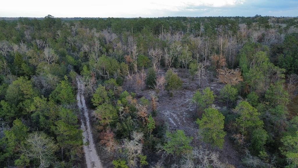 17 acres in Texas County featured view