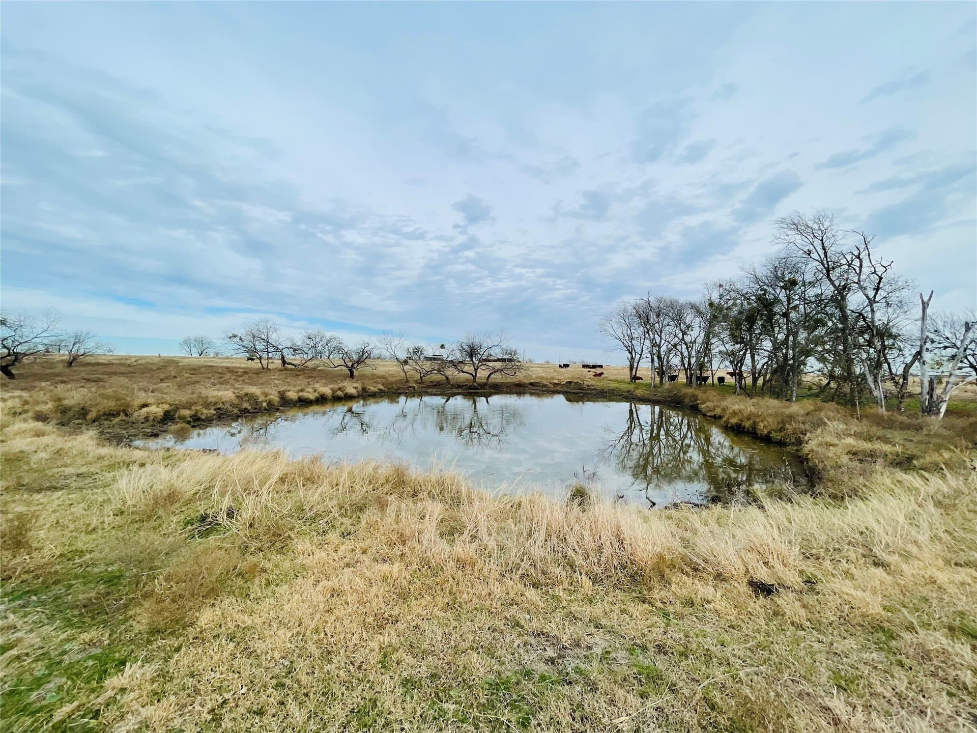 97.93 acres in Navarro County - photo 7