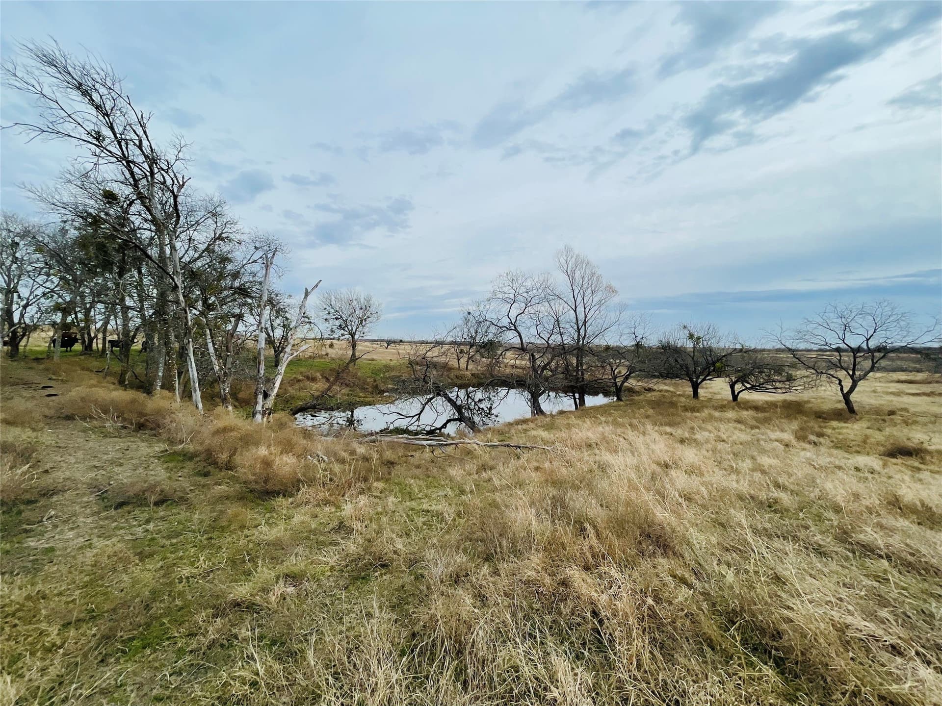 97.93 acres in Navarro County gallery image 2