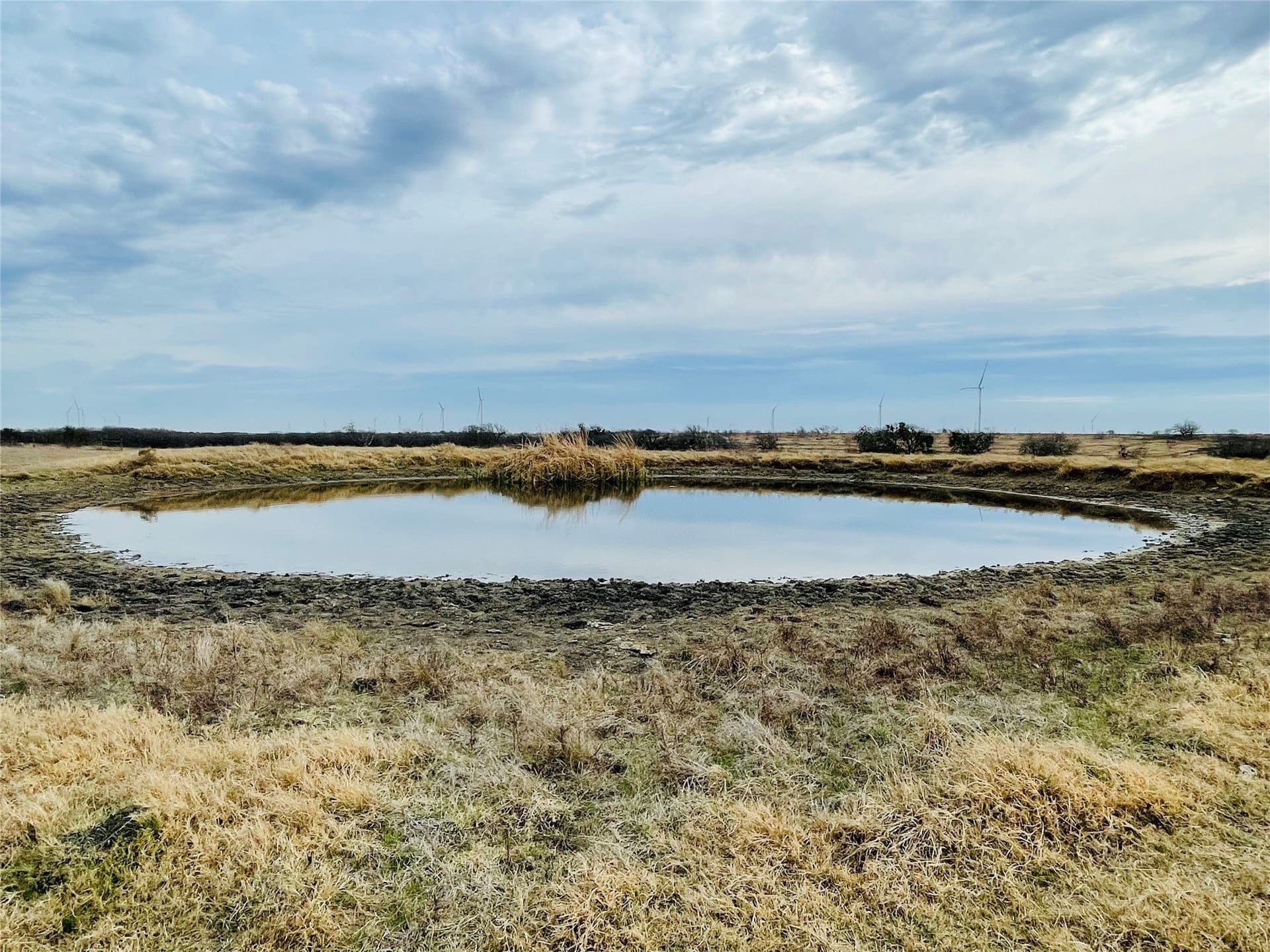 97.93 acres in Navarro County - photo 14
