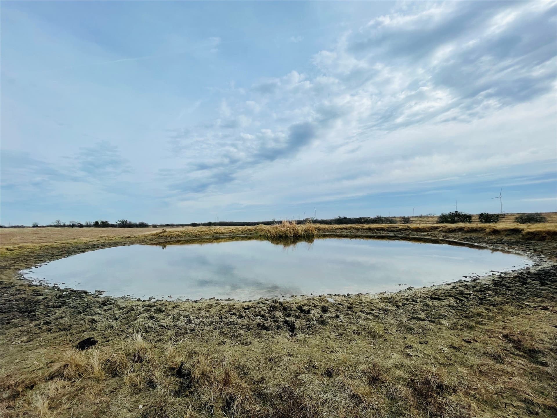 97.93 acres in Navarro County - photo 16