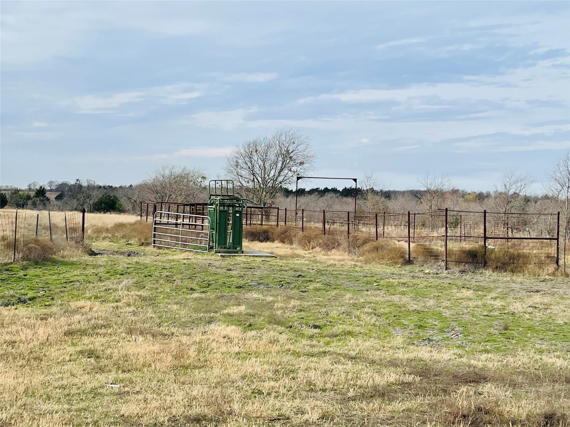 97.93 acres in Navarro County - photo 8