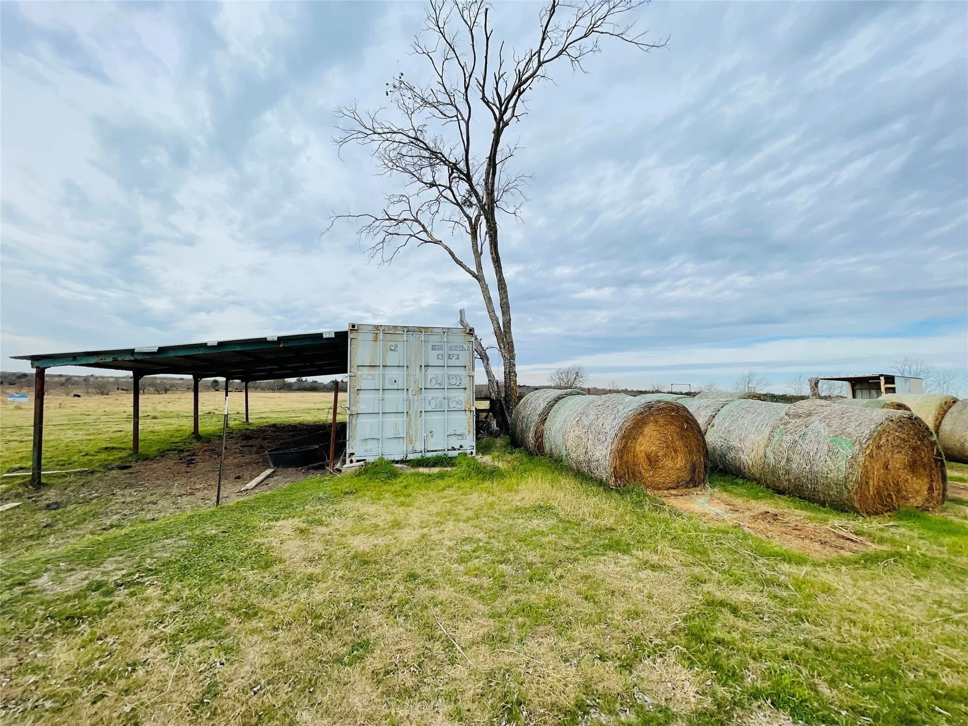 97.93 acres in Navarro County - photo 12