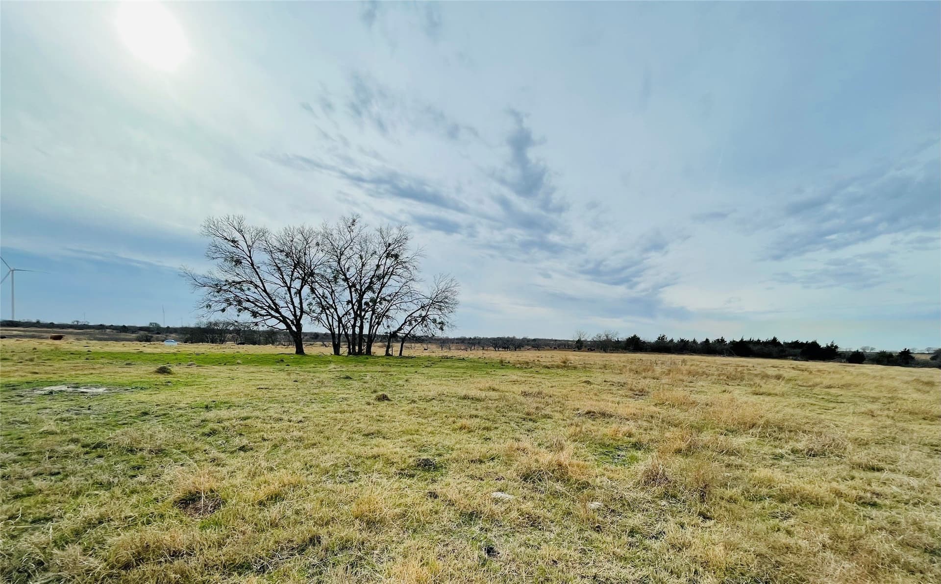 97.93 acres in Navarro County - photo 17