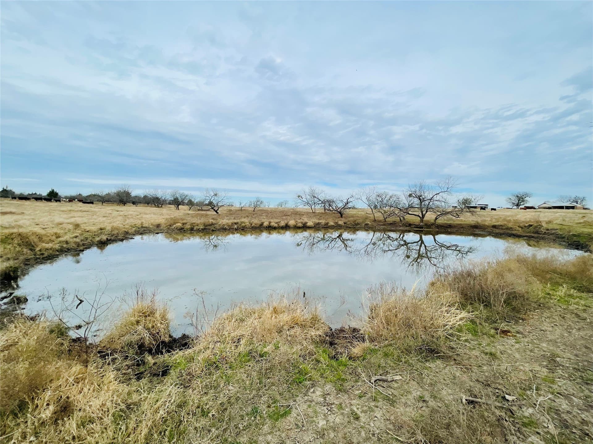 97.93 acres in Navarro County - photo 15
