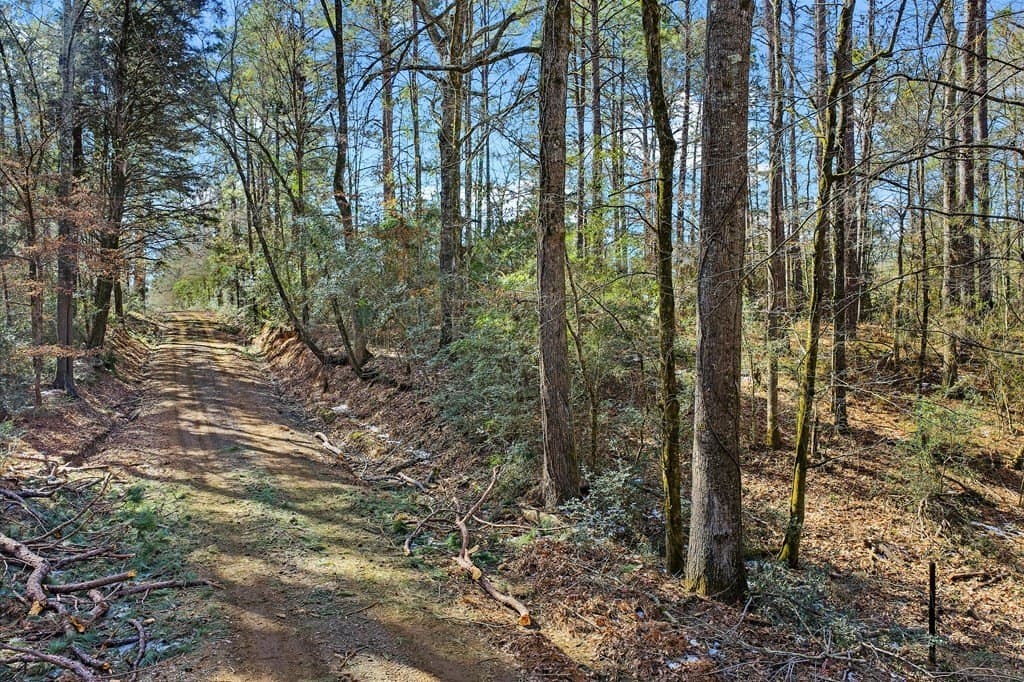 12 acres in Texas County gallery image 2