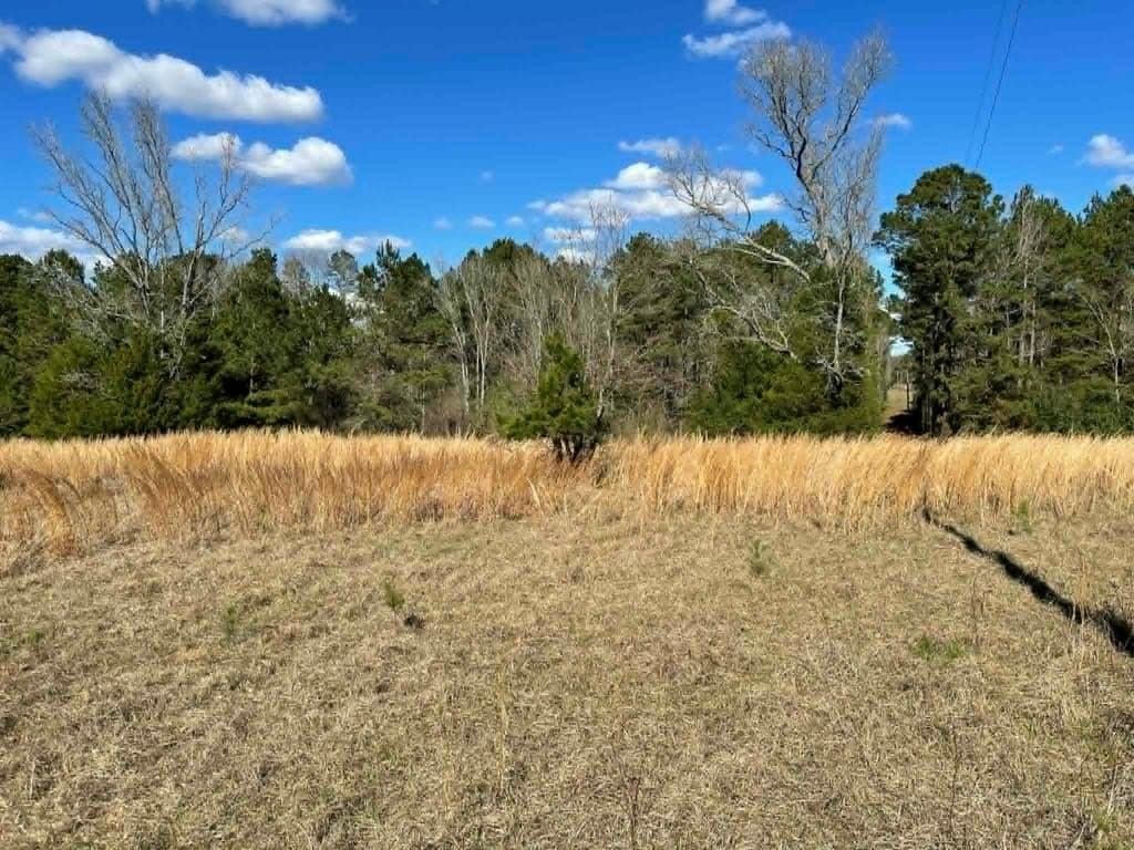 12 acres in Texas County gallery image 4