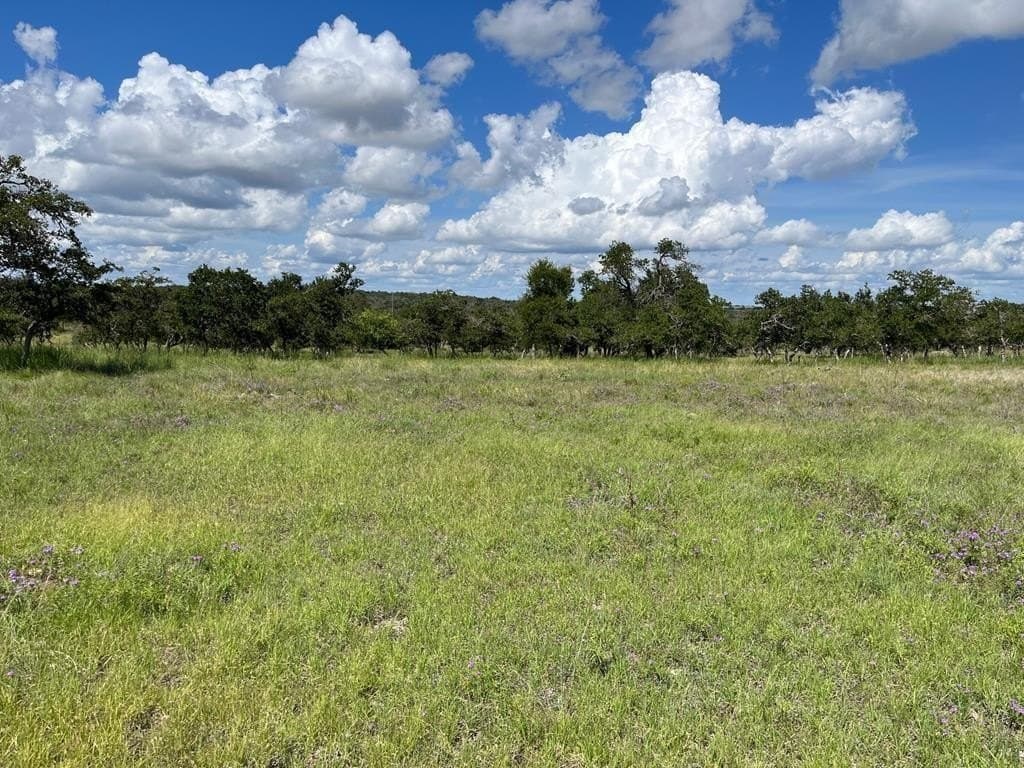 10.1 acres in Gillespie County gallery image 2