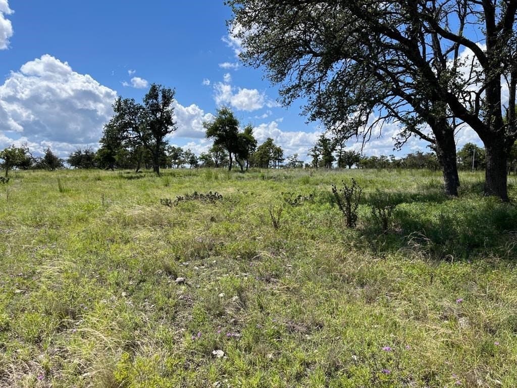 10.1 acres in Gillespie County - photo 11