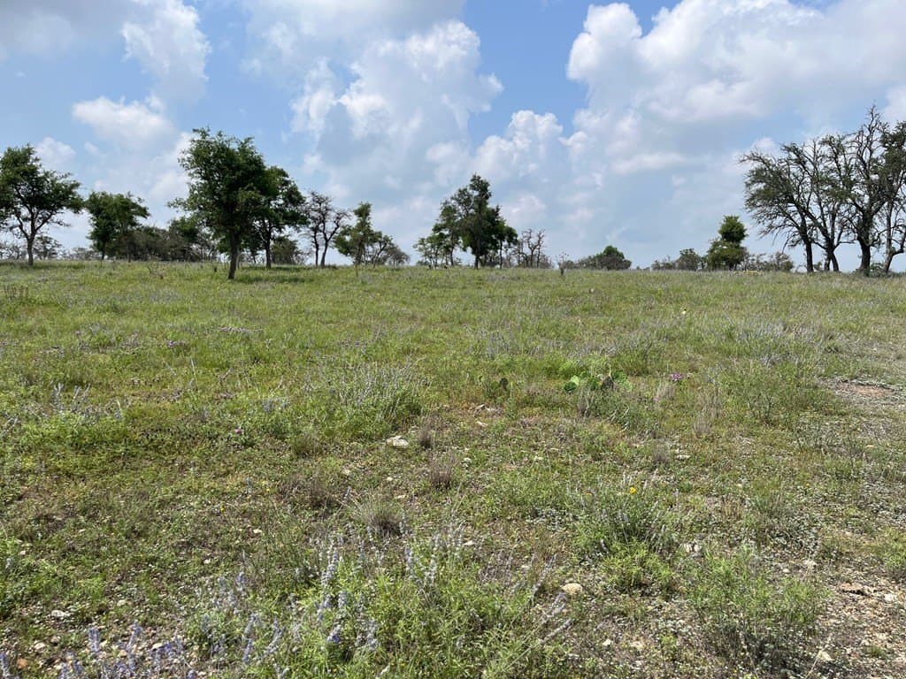 10.1 acres in Gillespie County - photo 8